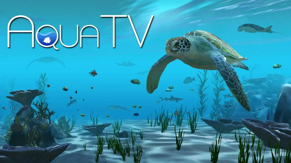 水族馆电视 Aqua TV 中文 nsz+v1.1.0
